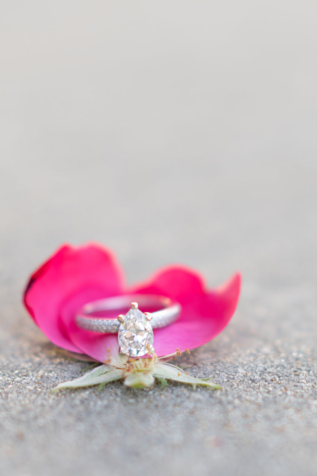 pear shaped engagement ring on bright pink flower